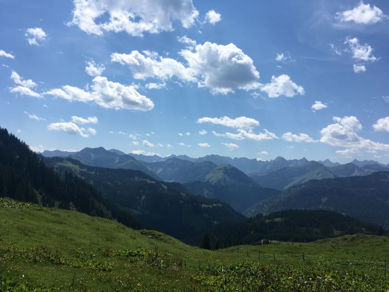Sommerprogramm